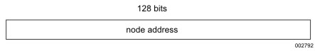 Unicast Address with no Internal Structure