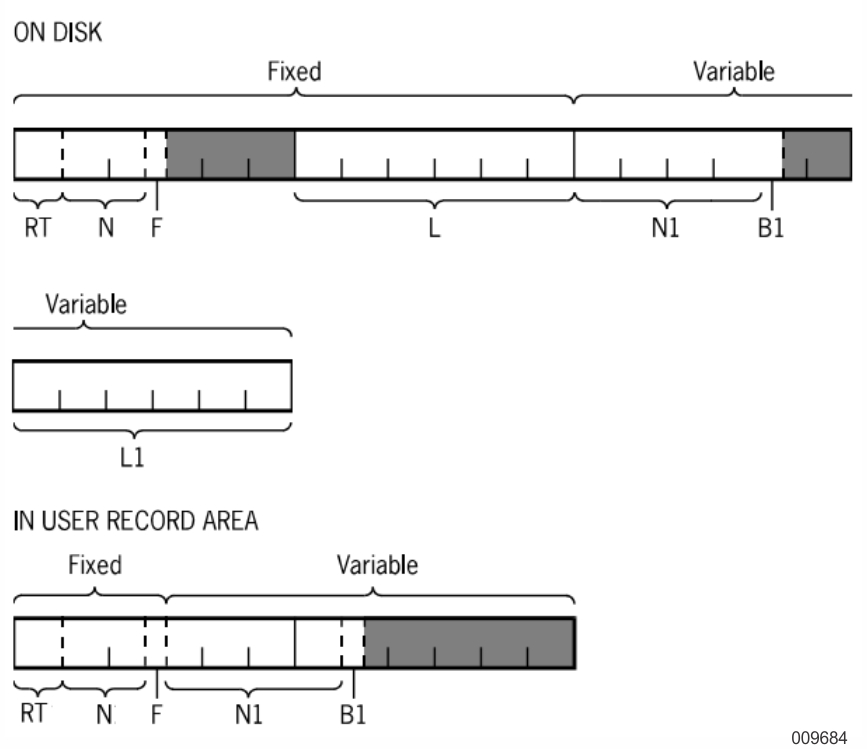 Record Layout of Data Set D (Part 3)
