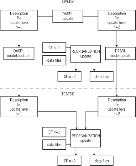 The Reorganization Process