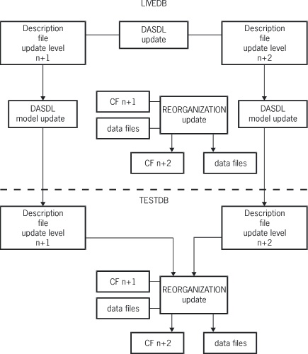 The Reorganization Process Using the USEREORGDB Option