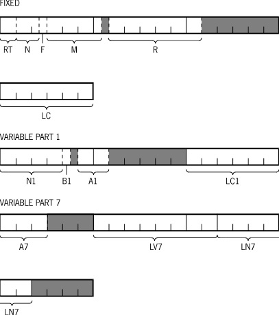 Record Layout of Data Set D (Part 1)