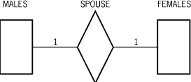 One-To-One Relationships Between Two Data Sets